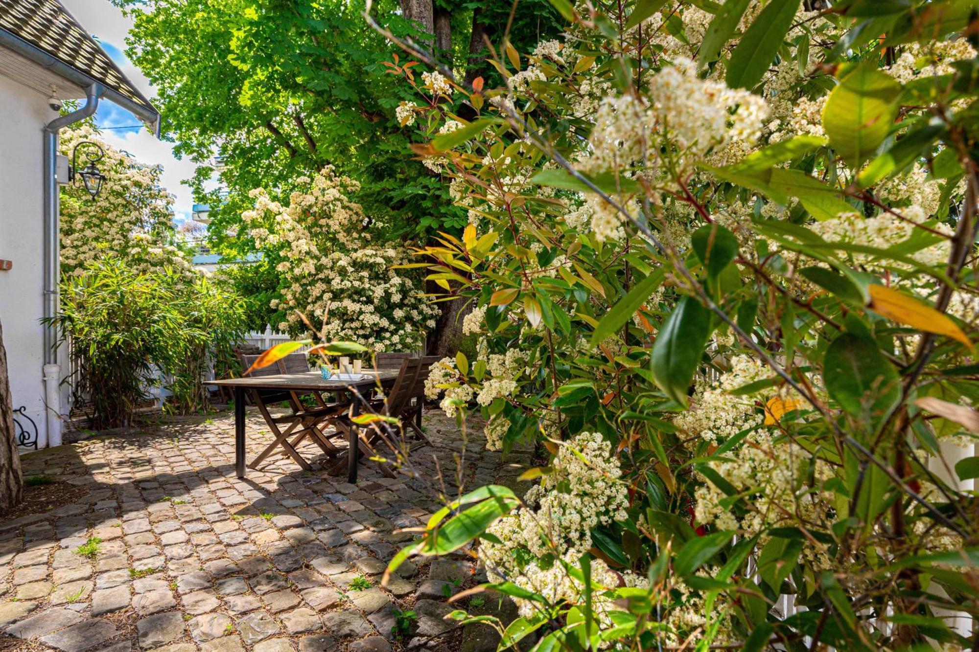 Grand & Classy Apartment With Private Garden, Villa Des Ammonites Meudon Kültér fotó